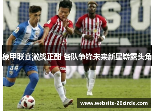 象甲联赛激战正酣 各队争锋未来新星崭露头角